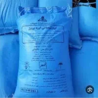 کود سفید باشت