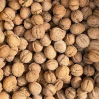 گردوی تازه کاغذی