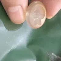 مهره نشان سلیمانی