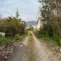 زمین ۱۴۰ متری کتشال پایین مسکونی|فروش زمین و ملک کلنگی|لاهیجان, کوه بیجار|دیوار