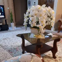 گل ارکیده
