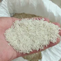 برنج فجر سوزنی امساله