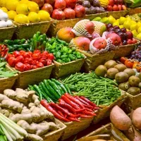 صادرات محصولات کشاورزی