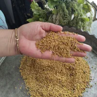 عسل ژل رویال گرده گل
