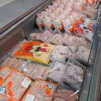 مرغ وقطعه بندی مرغ،سینه ،ران،فیله،بال وکتف