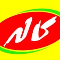 ویزیتور (فروشنده حضوری)