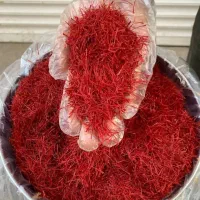 زعفران (خداوندا، به مولای ما صاحب الزمان برکت بده)