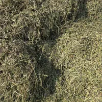 فروش یونجه کوفته