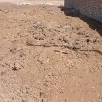 کود کهنه گاوی|لوازم جانبی حیوانات|تاکستان, |دیوار