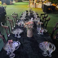 تشریفات تولد عقد عروسی و سایر مراسمات|خدمات پذیرایی، مراسم|شیراز, دکتر حسابی|دیوار