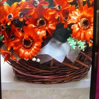 دوچرخه وغیره|دوچرخه، اسکیت، اسکوتر|خوی, |دیوار