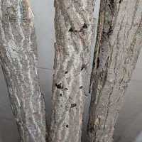 ورق چوبی دکوراسیون تزئینی مغازه