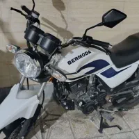 150 برمودا