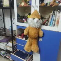 کمد کودک یا نوجوان و میز کامپیوتر یا میز تحریر|جاکفشی، کمد، دراور|قائم‌شهر, |دیوار