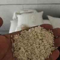 برنج ایرانی