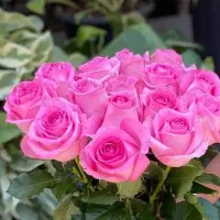 پرستار در منزل