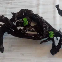 آکواریوم شیشه خم شرکتی|ماهی|لنجان, |دیوار