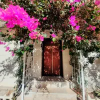 اجاره روزانه و ماهانه منزل مبله VIP دوخواب همکف