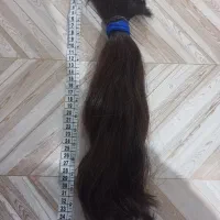 موی پر پشت
