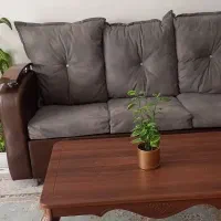 مبل ۷ نفره چوب گردو باکیفیت