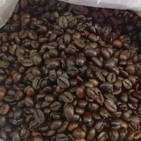 انواع دان قهوه