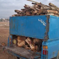 نیسان مدل ۸۳ سلامت|خودرو سواری و وانت|هشتگرد, گلسار|دیوار