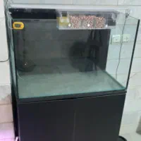 آکواریوم