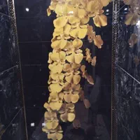 نصب کاشی سرامیک کف حال پذیرایی وکاشی سرویسها|خدمات پیشه و مهارت|کرج, باغستان|دیوار