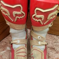 بوت کراس فاکس