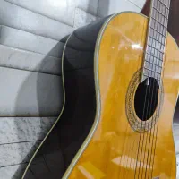 گیتار|گیتار، بیس، امپلیفایر|شوش, |دیوار