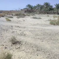 زمین فروشی