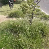 هرس علف باغ و ویلا