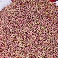 پسته خام بدون پوست و باپوسته در قزوین و مهرگان|خوردنی و آشامیدنی|قزوین, |دیوار