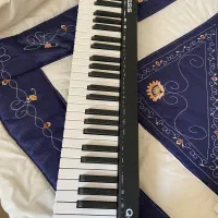 میدی کنترلر آلیسس q49 mk2