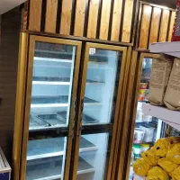 فریزر موتور فرانسه