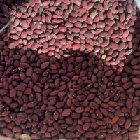 لوبیا قرمز|خوردنی و آشامیدنی|آوج, |دیوار