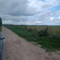 شالیزار-متراژ-13-000-متر-دارای-جاده-ماشین-رو