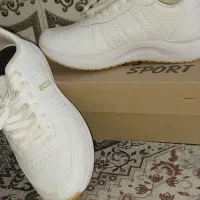 کفش اسپورت|کیف، کفش، کمربند|باوی, |دیوار