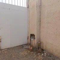 فروش باغچه/برق آب تصفیه/رو ب رو ترمینال|فروش دفتر صنعتی، کشاورزی، تجاری|دزفول, |دیوار