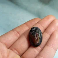 سنگ|جواهرات|شیراز, انجیره|دیوار