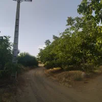 باغ|فروش زمین و ملک کلنگی|سامان, |دیوار