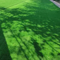 چمن مصنوعی|خدمات باغبانی و درختکاری|لاهیجان, آهندان|دیوار