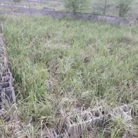 **فروش زمین سند دار مناسب سرمایه گذاری**