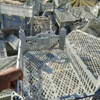 سبد میوه|ظروف نگهدارنده، پلاستیکی، یکبارمصرف|جیرفت, |دیوار