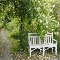 موتور آب منطقه شراه