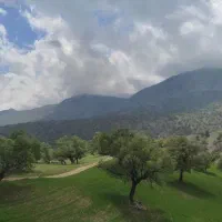 گروه طبیعت گردی