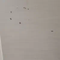 کمد کودک  زیرقیمت|اسباب و اثاث بچه|همدان, |دیوار