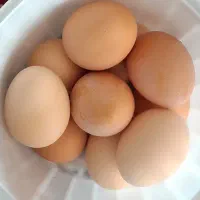 تخم مرغ محلی