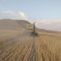 زمین کشاورزی سهنله