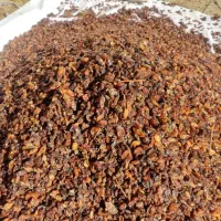 کشمش آبگیری
